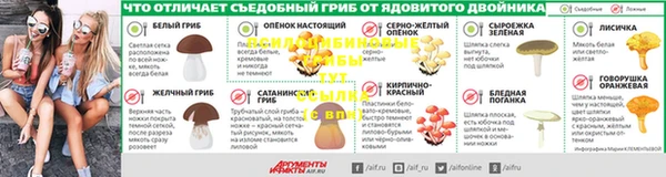 соль ск Апатиты
