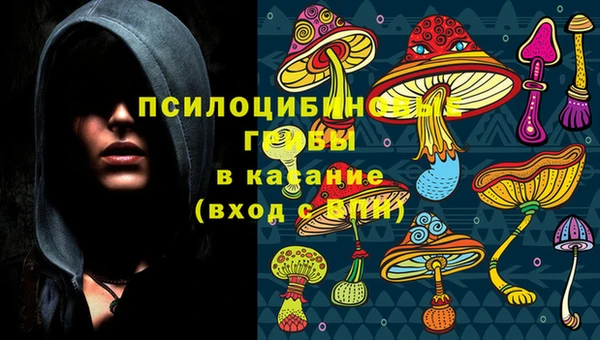крисы Алексин