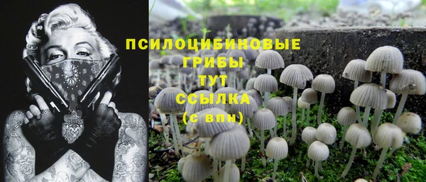 круглые Алексеевка
