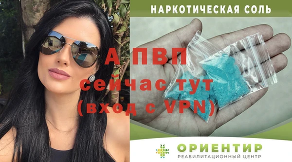 крисы Алексин