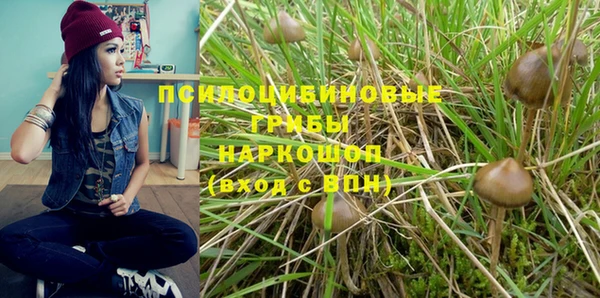 крисы Алексин
